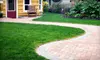 $99 for an Aeration and Liming Package for Up to 5,000 Sq. Ft. of Lawn from Acorn & Branch Landscaping ($230 Value)