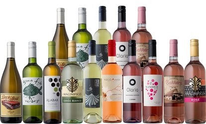 image for Up to 79% Off Wine Sampler from Splash Wines