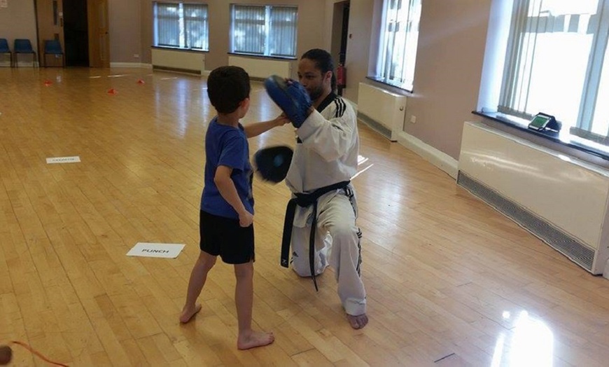 Image 14: Two Kids Taekwondo Lessons