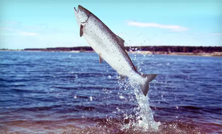 Eight-Hour Guided Salmon-Fishing Trip for Two or Four from A Better Catch Guide Service (Up to 60% Off) - Primary Image