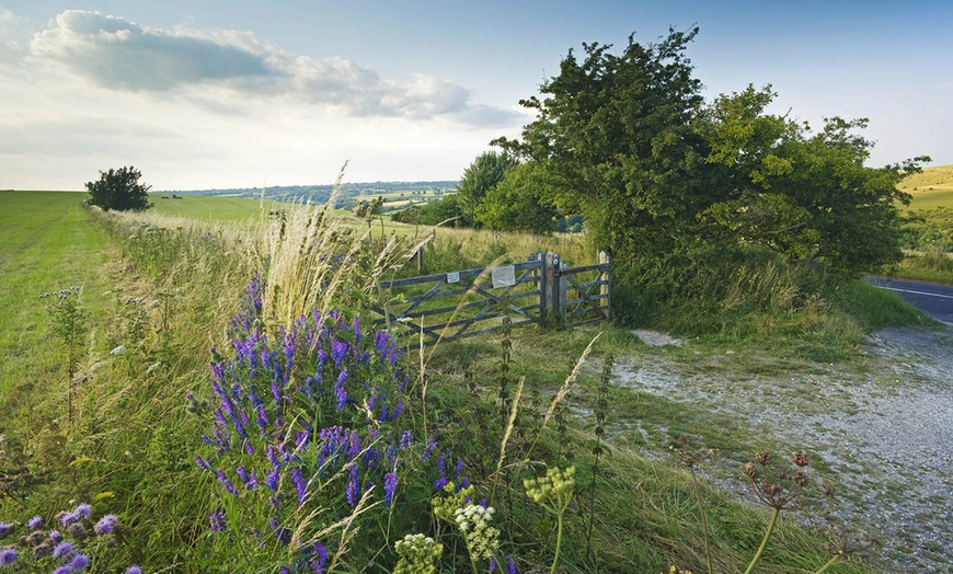 Image 6: Countryside Glamping In Dorset