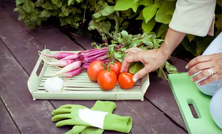 $199 for a 4'x4' Vegetable Garden with Supplies, Delivery, and Installation from Resolution Gardens ($510 Value) - Primary Image