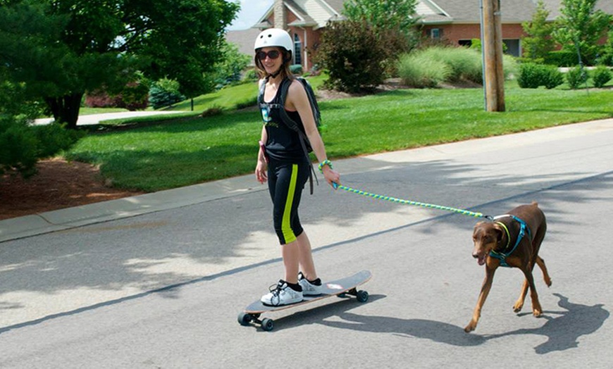 buddies boarding