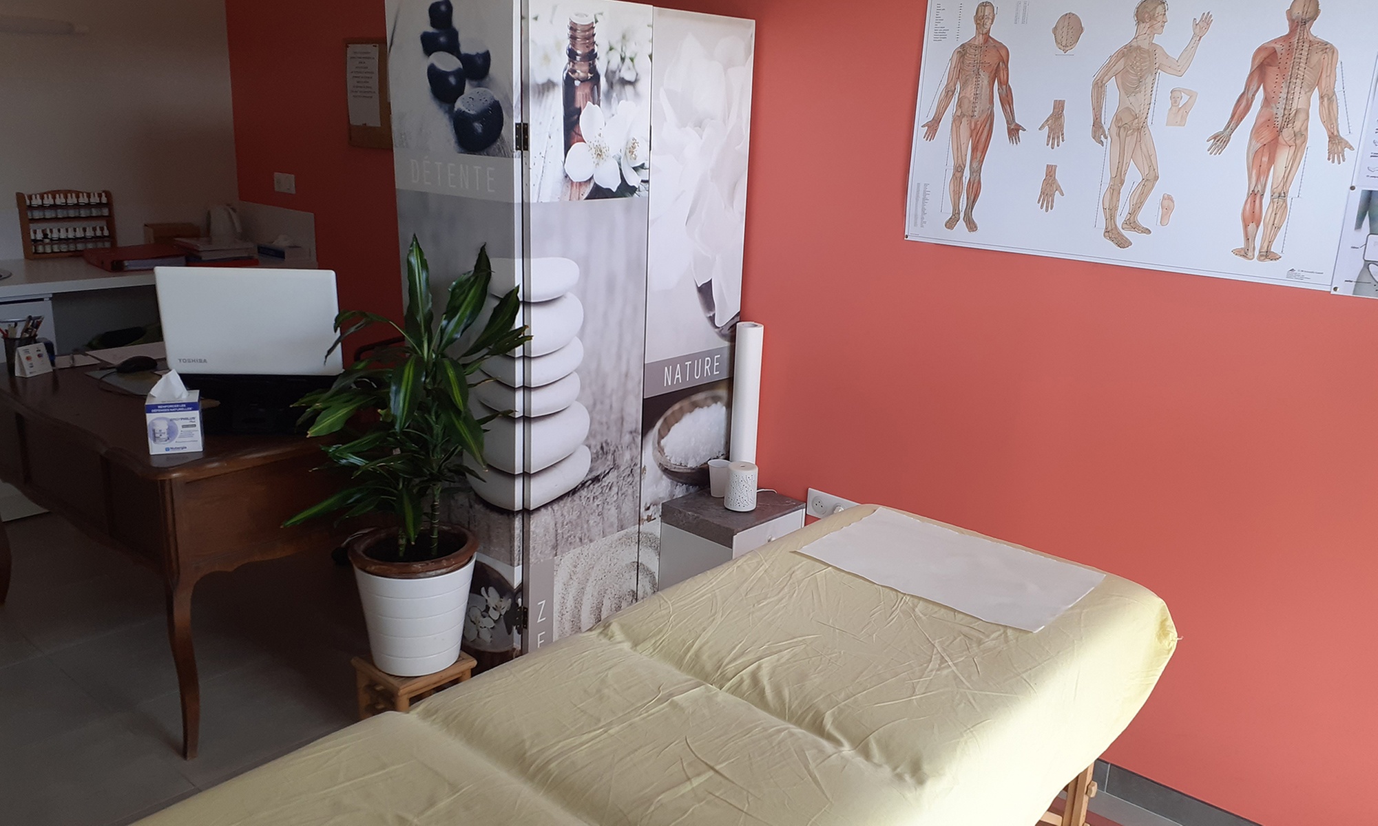 Shiatsu par Griffon Shiatsu One Six