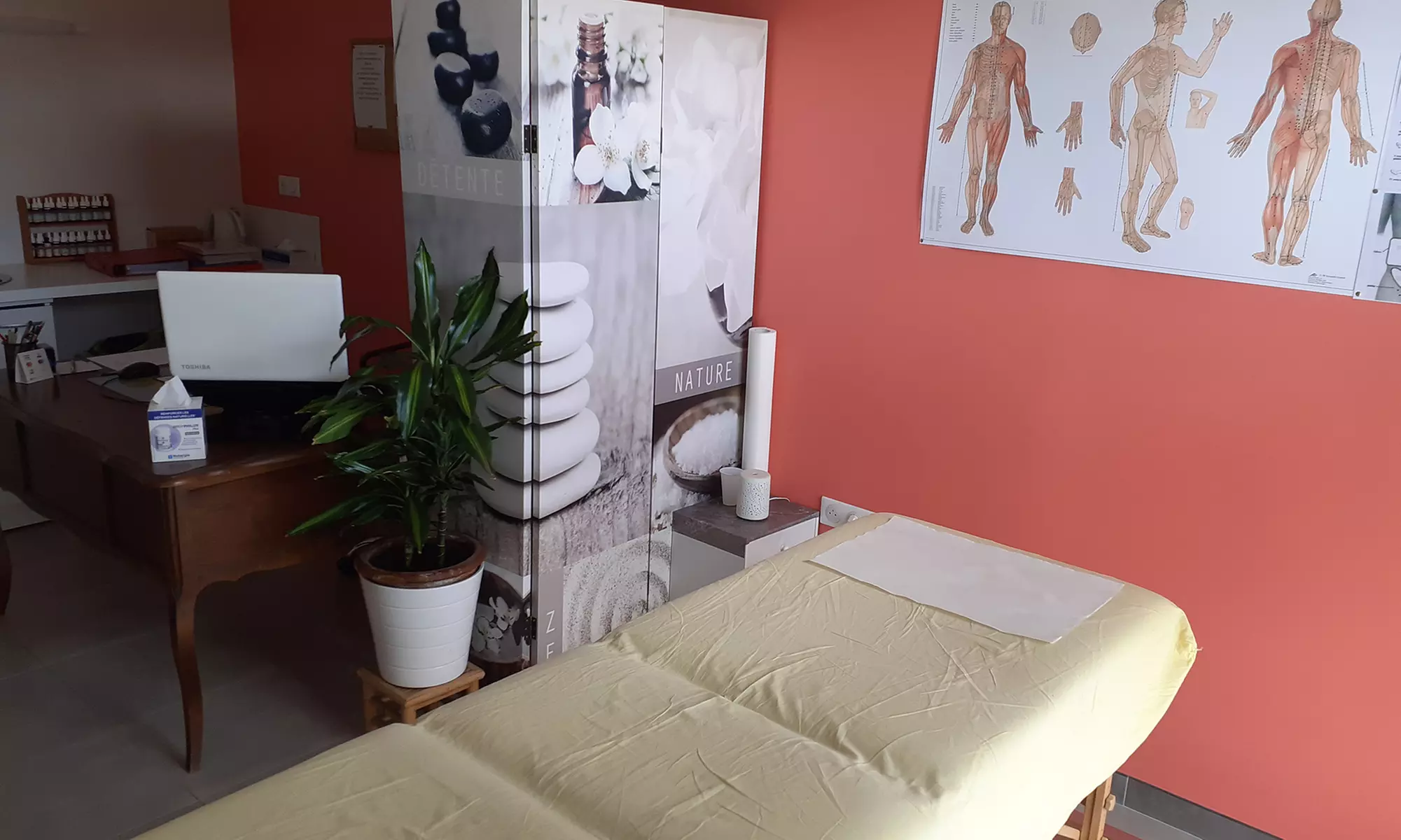 Shiatsu par Griffon Shiatsu One Six