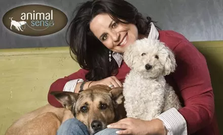 $50 for Three Weeks of Dog Training from AnimalSense - Primary Image