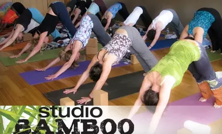 $40 for 10 Yoga Classes at Studio Bamboo Yoga in Virginia Beach ($120 Value) - Primary Image