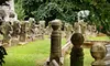 $6 for One Ticket to The Civil War Veterans of Elmwood Class on August 20 at Elmwood Cemetery (Up to $12 Value)