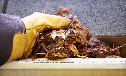 Professional Gutter Cleaning for a Small or Large Roof from Metro Gutter & Home Services  - Primary Image
