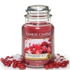 Image 9: Yankee Large Jar Candles