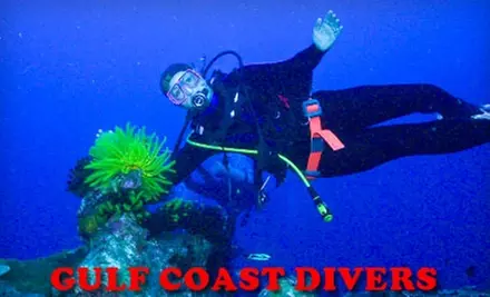 $12 for an Introductory Scuba-Diving Class at Gulf Coast Divers ($24 Value) - Primary Image
