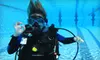 $159 for a Scuba-Certification Class at Dive Utah in Holladay ($275 Value)