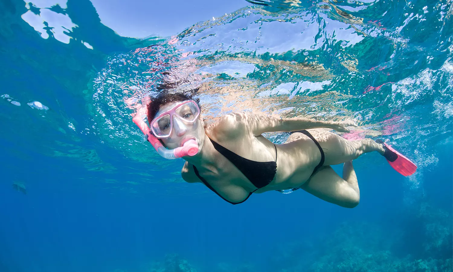 Half-Day Morning Lana‘i Snorkel & Sightseeing Tour with Snack & Drinks