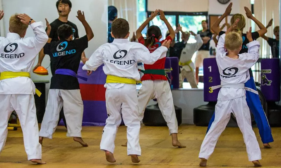 10 or 15 Martial-Arts Classes or Kids Karate Birthday at Legend Martial Arts Academy (Up to 91% Off) - Primary Image