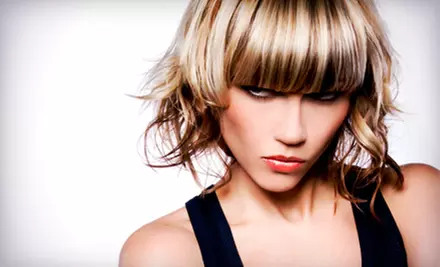 Conditioning Treatment, Cut, and Style with Optional Partial or Full Highlights at Tangerine Hair Salon (Up to 61% Off) - Primary Image