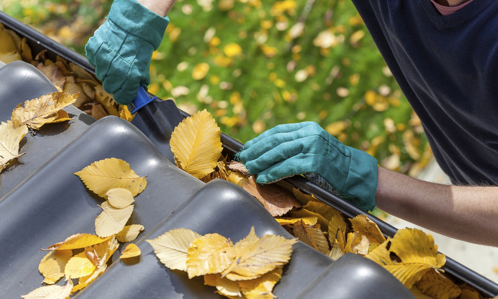 Gutter Cleaning for up to 2000 - 3000 sq ft Home! 