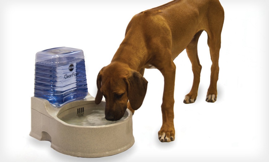 Pet Water Bowl Groupon Goods   C870x524 