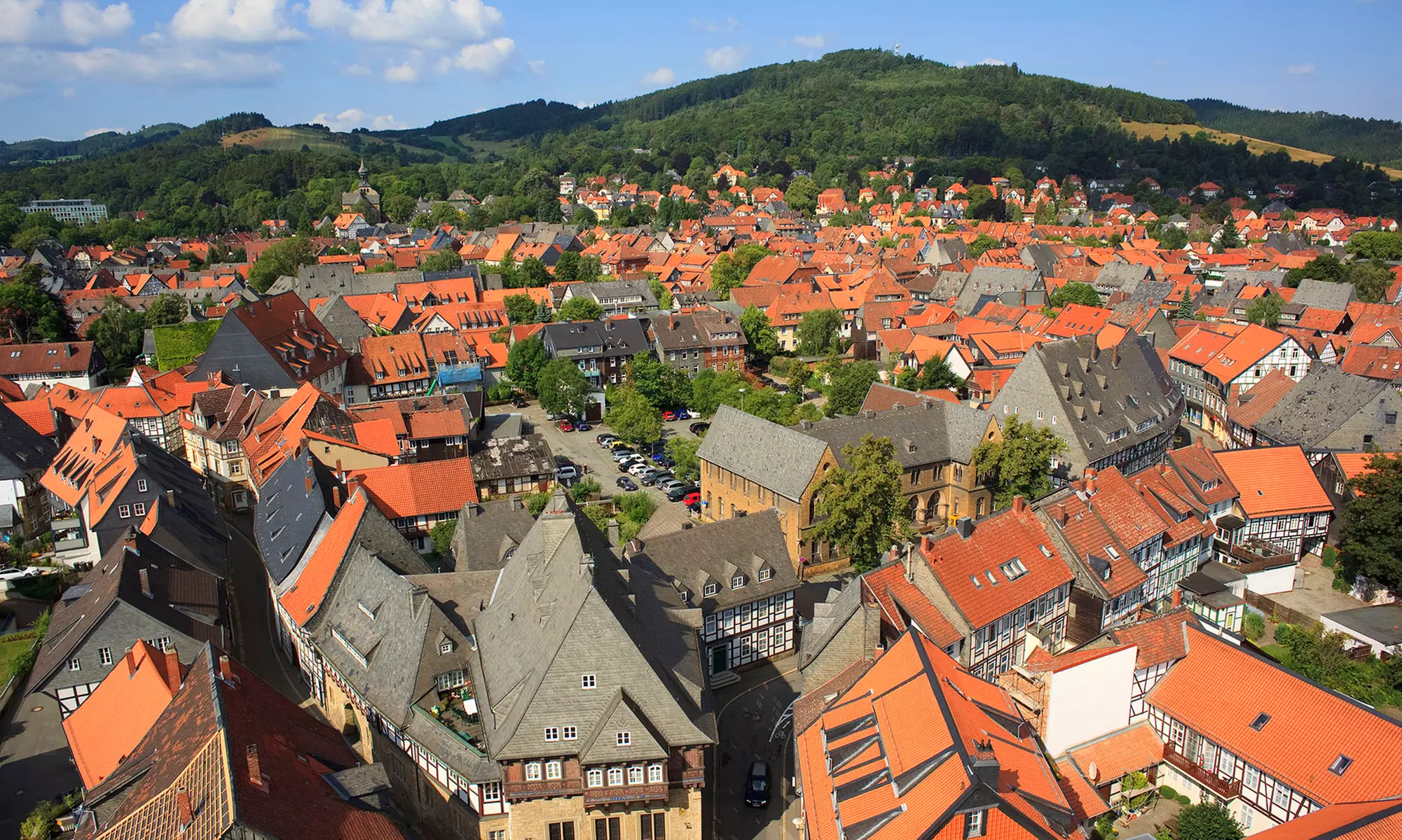 Leipzig: 1 - 3 Nächte mit Frühstück & Eintritt in den Zoo Leipzig