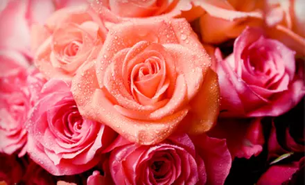 $16 for $35 Worth of Fresh Flower Arrangements at Finishing Touch Florist & Gifts - Primary Image