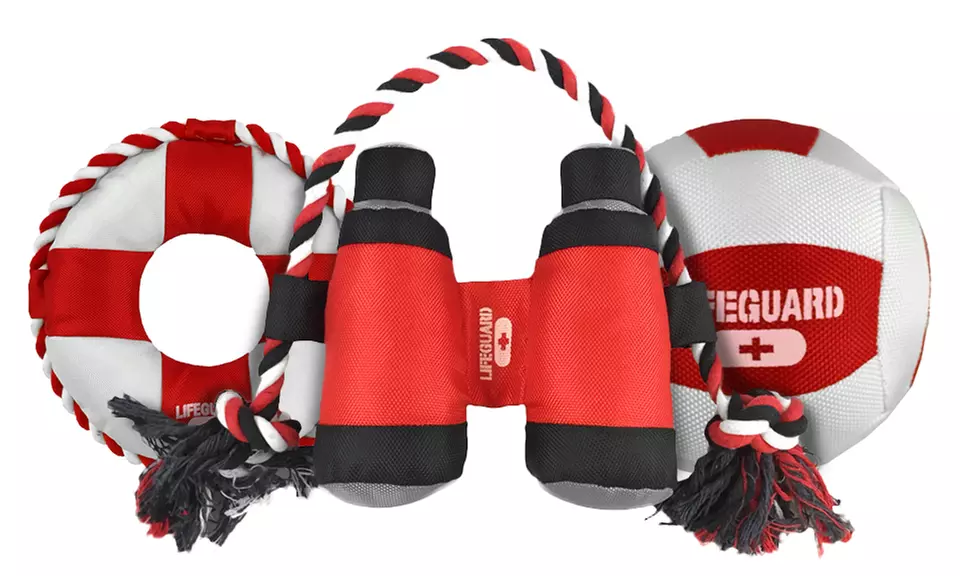 Lifeguard Floating Dog Toy - Primary Image