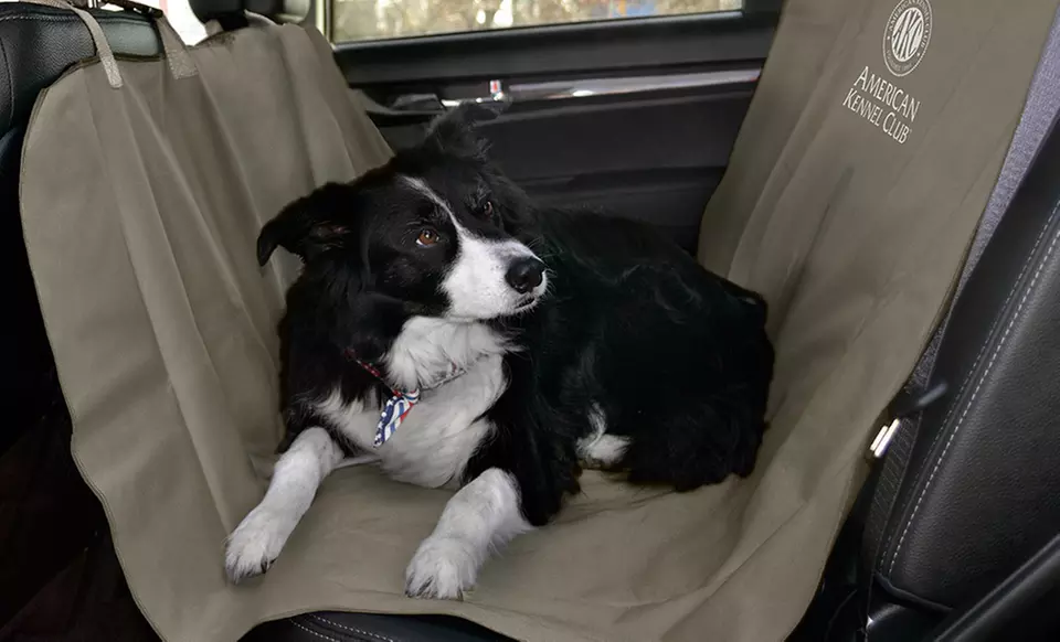 American Kennel Club Water-Resistant Car-Seat Cover - Primary Image