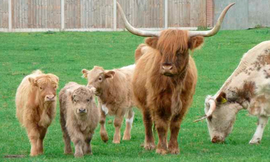 Image 1: Family Entry to Red Lion Farm