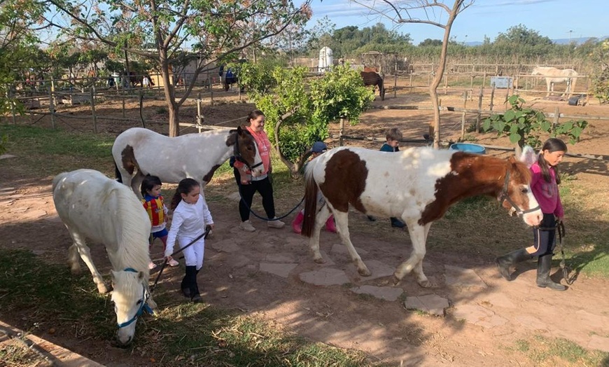 Image 3: Paseo en poni para niños con La Finca Pony Club