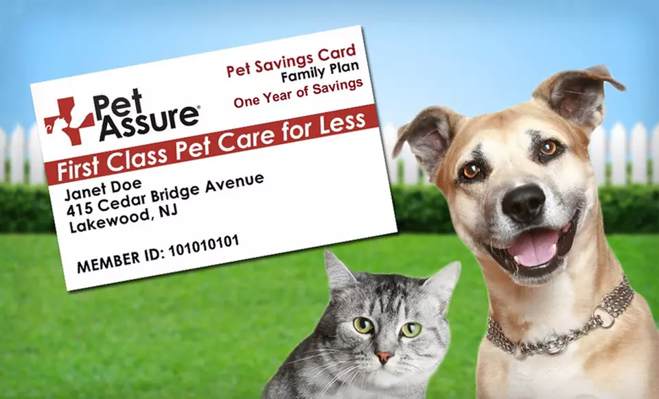 One-Year Single Cat, Single Dog, or Household Veterinary Discount Plan from Pet Assure (Up to 73% Off). Free Shipping. - Primary Image