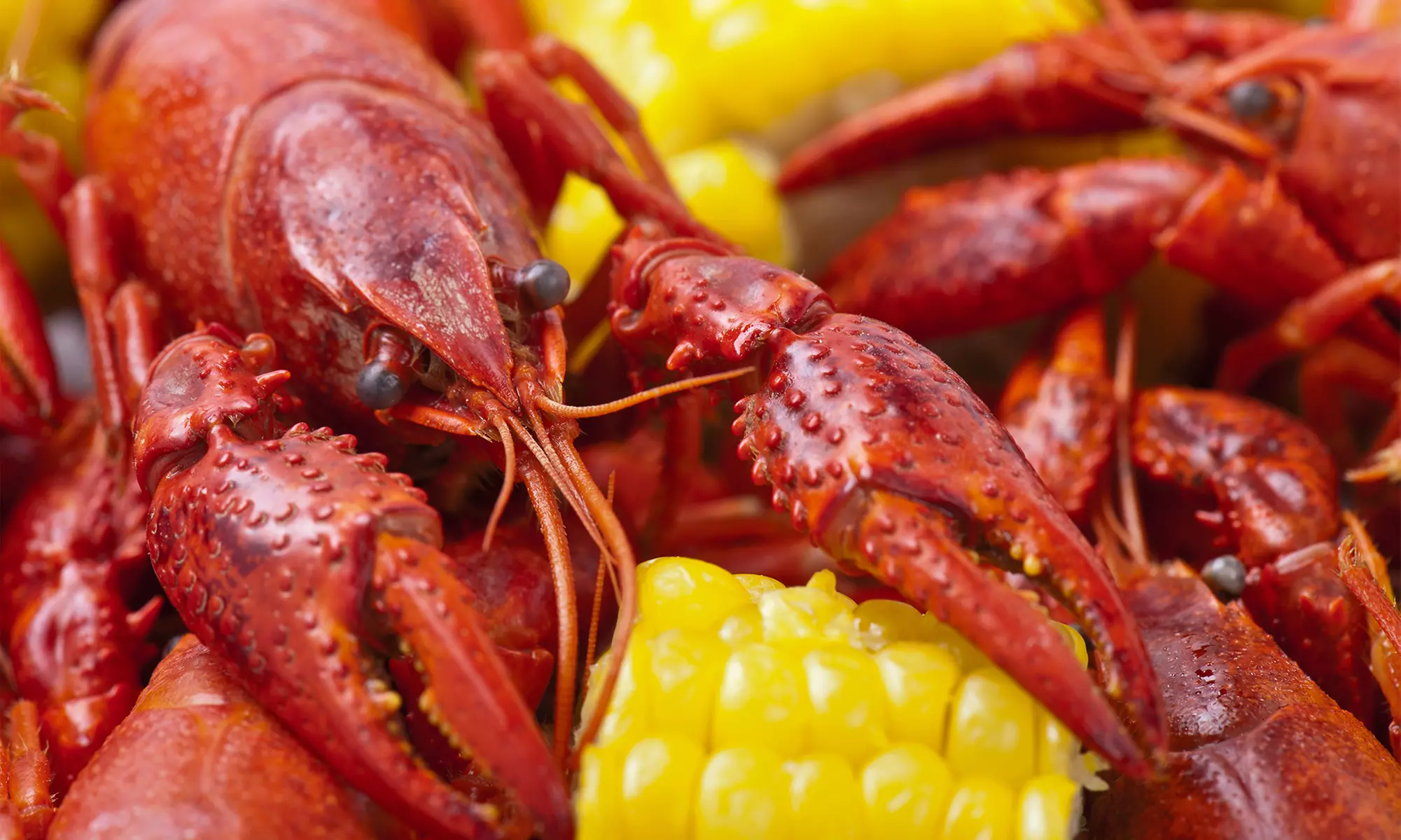 Cajun Cuisine at Bayou Dawn's, Too (Up to 45% Off). Two Options Available. - Primary Image