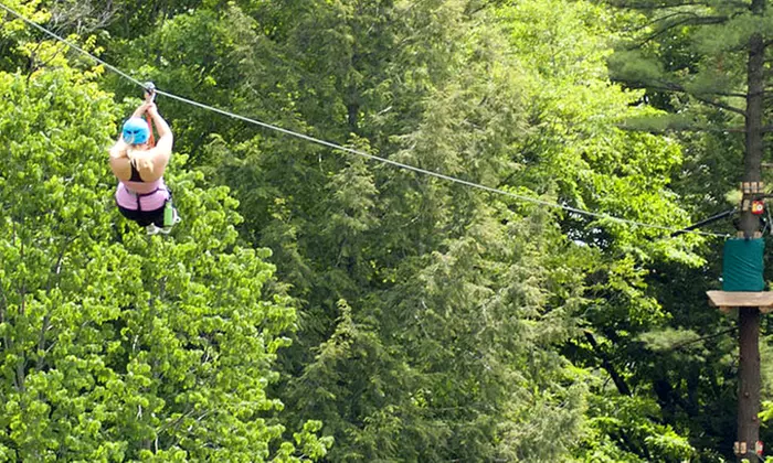 C$37 for Admission to a Treetop Aerial Course with Zipline at Treetop Eco-Adventure Park (C$53.09 Value)  - Second Medium