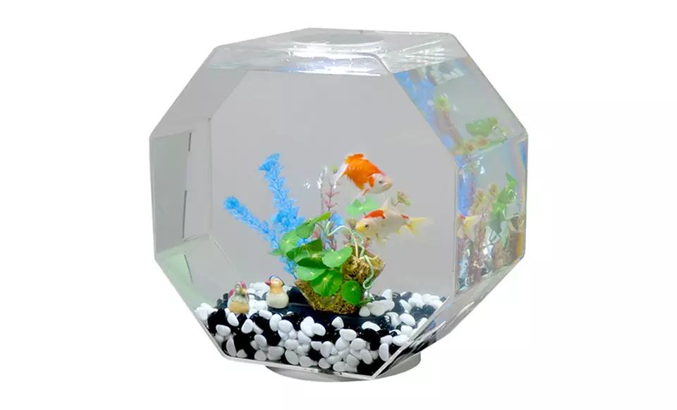Aquavista 8Gal. Octagon Fish Aquariums - Second Medium