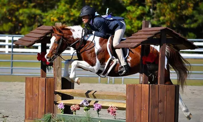 Horseback Rides or Lessons from Springfield Sport Horses (Up to 47% Off). Three Options Available. - Primary Image