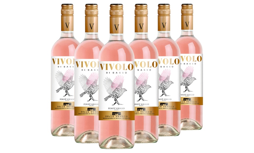 Image 3: 6 ou 12 bouteilles de vin 'Pinot Grigio'