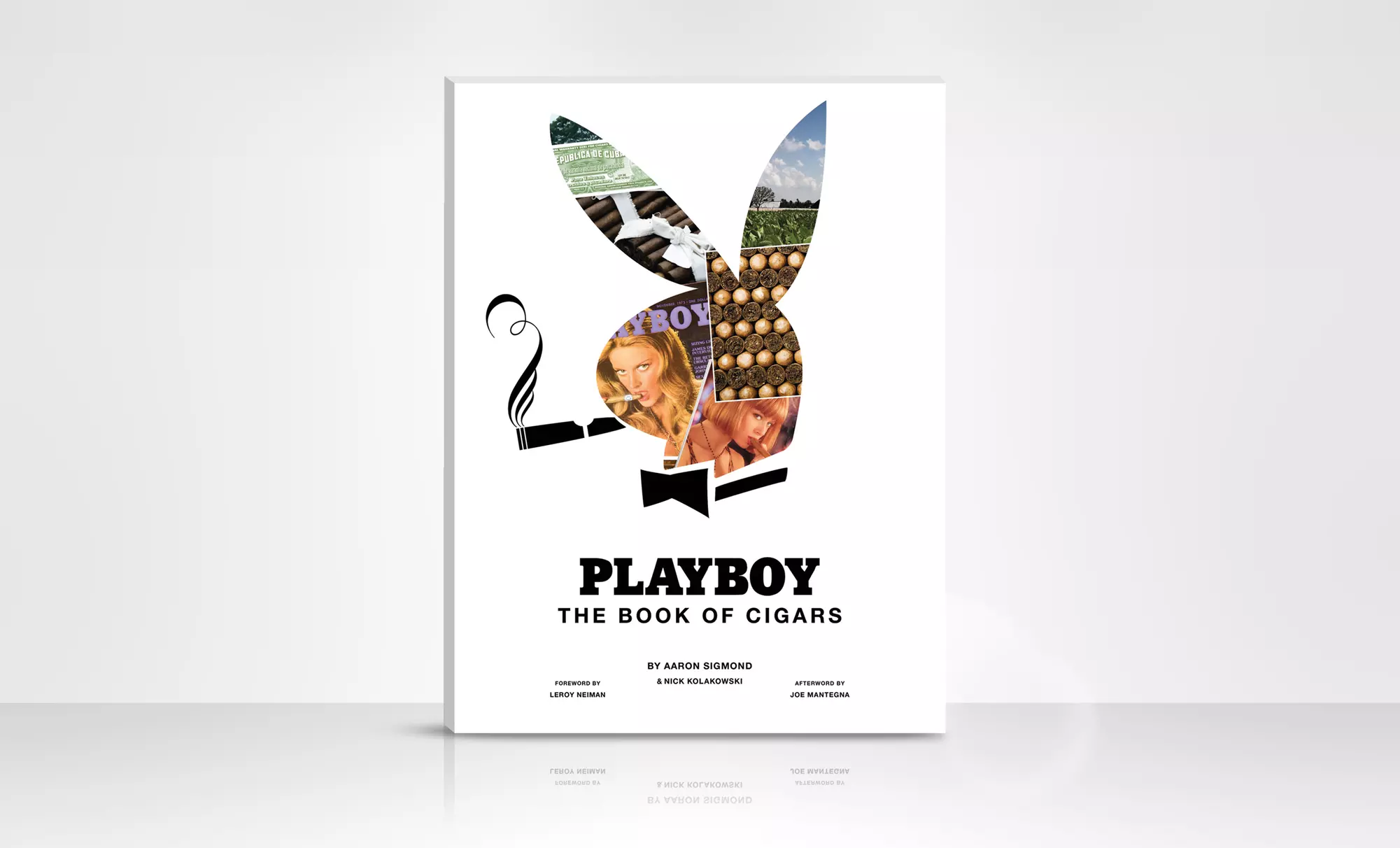 Playboy: The Book of Cigars - Primary Image