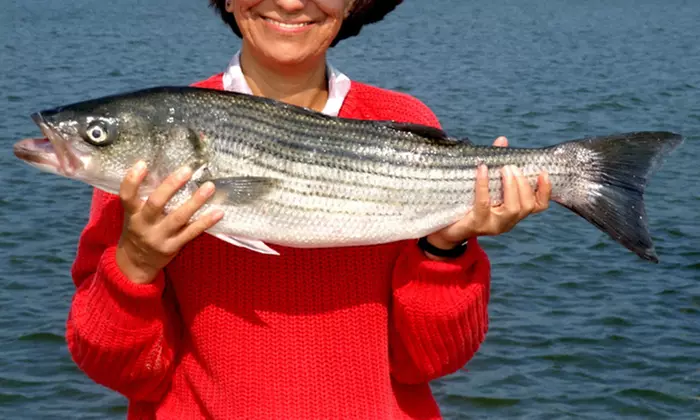 $199.99 for a Half-Day Fishing Charter for Up to Four People from Prime Time Charters ($350 Value) - Primary Image