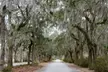 Exclusive Guided Tours of Bonaventure Cemetery & Savannah's Secrets - Second Medium