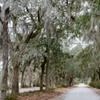Image 3: Uncover Savannah’s Secrets with an Bonaventure Cemetery Expert Tour 