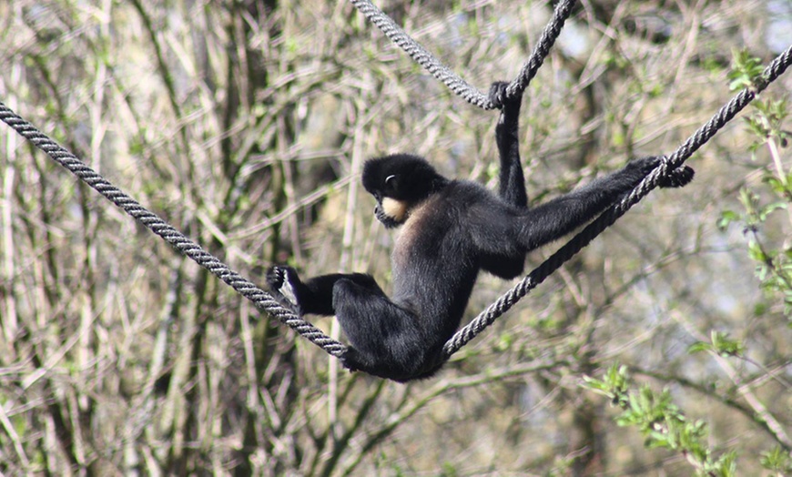 Image 10: Bilety do warszawskiego ZOO 