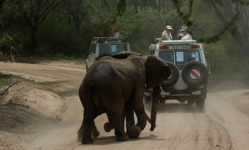 Image 17: Tanzania Safari