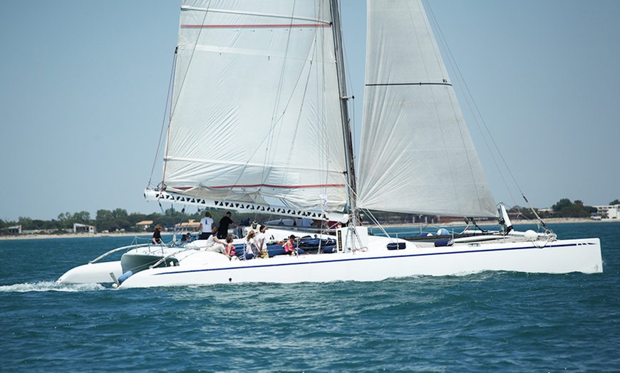 Image 1: Cap sur la Camargue : balade en catamaran avec Voile med