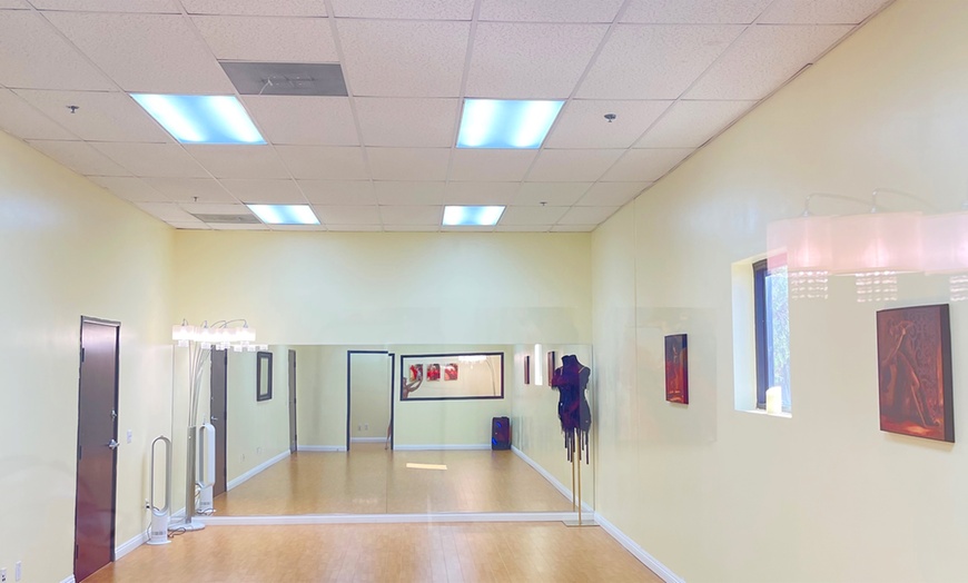 Image 5: Learn Ballroom and Latin Styles in One Private Session