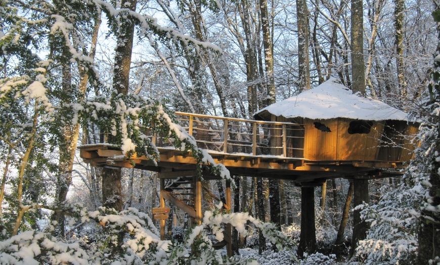 Image 10: Entrées à la Vallée des Singes