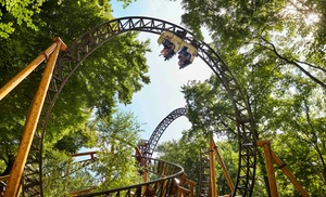 Vakantiepark Duinrell: Duingalow (3/4 nachten) + toegang attractiepark