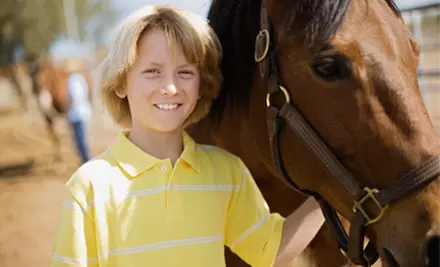 Two or Four Horseback-Riding Lessons from Giddy Up Horseback Riding at Craigmont Equestrian Center (Up to 55% Off) - Primary Image