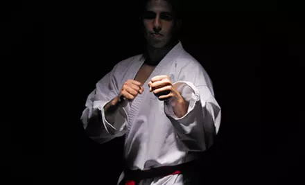 One, Two, or Four Months of Classes at Shuhari Martial Arts Studio (Up to 78% Off). Six Options Available. - Primary Image