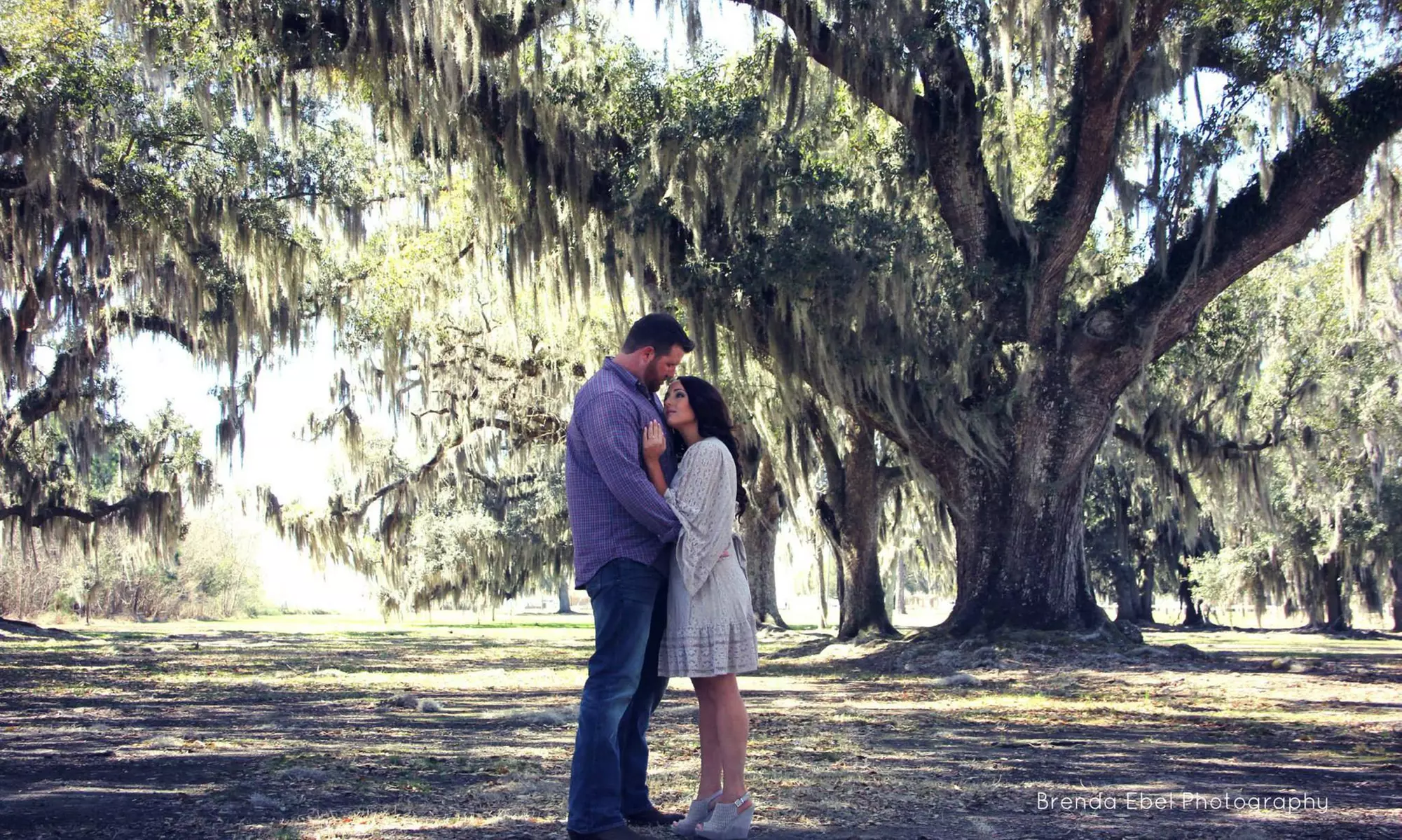 60-Minute Engagement Photo Shoot with Wardrobe Changes and Digital Images from Brenda Ebel Photography (73% Off) - Primary Image