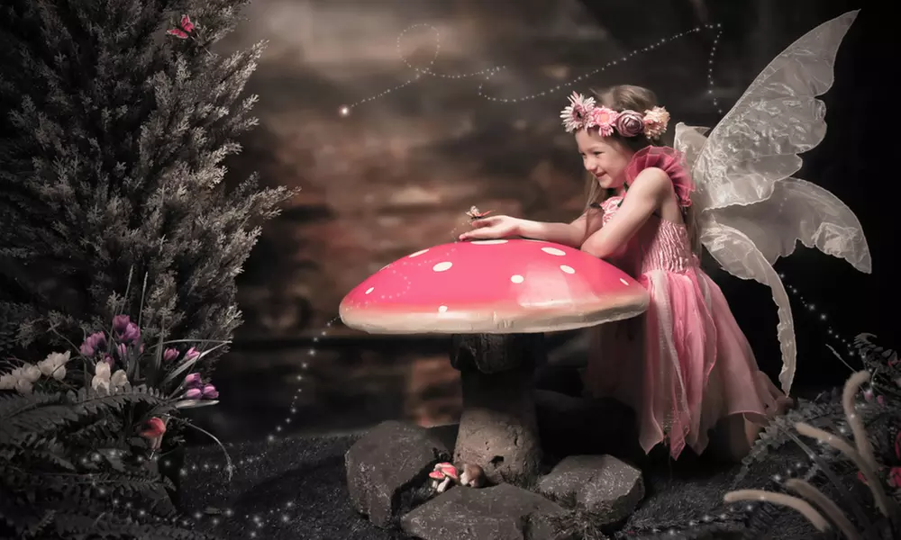 Kids Fairy and Elf dress-up Photo Session or Teen Makeover Photo Session at Wild Ginger Photography - Primary Image