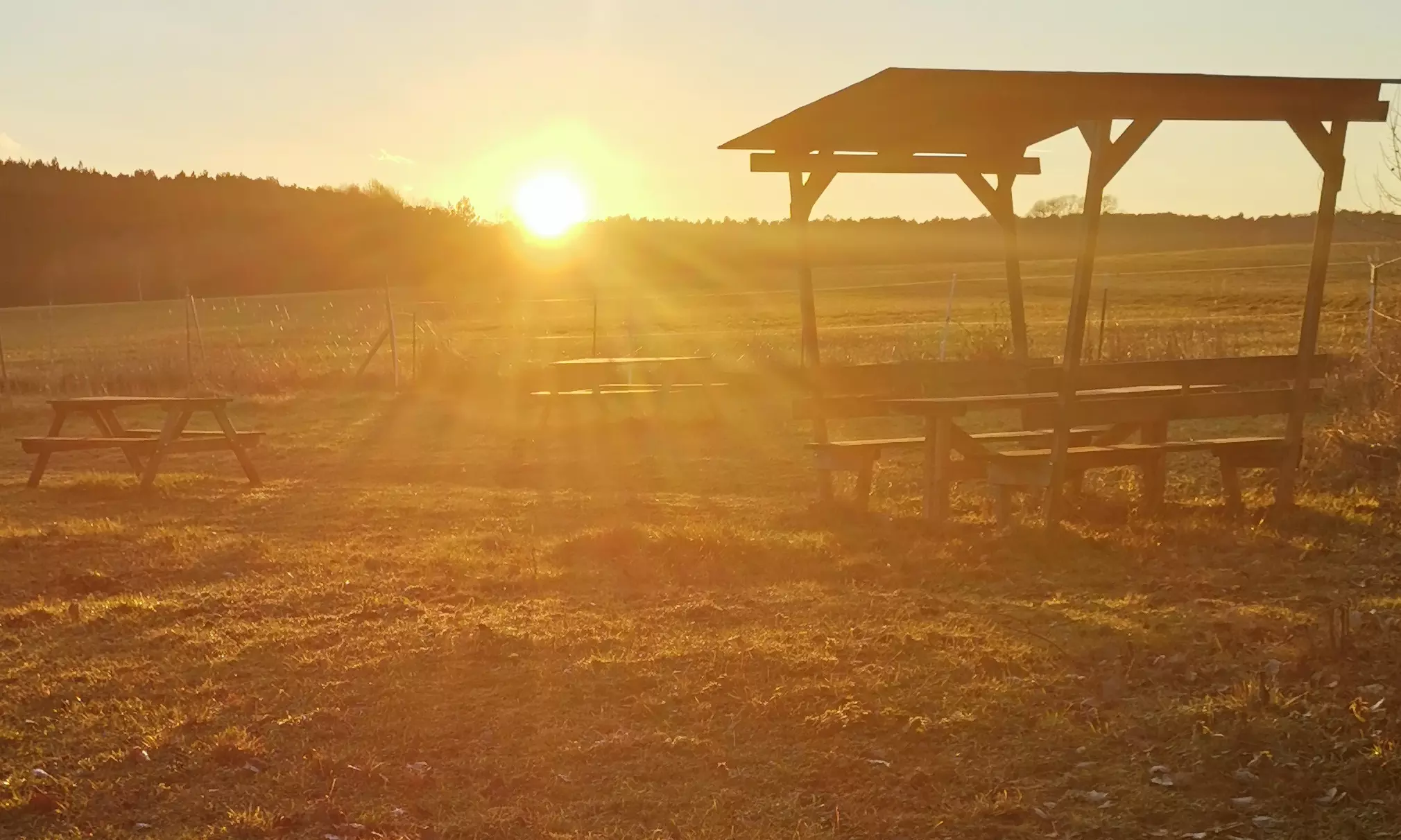 Alpaka- und Lama-Wanderung