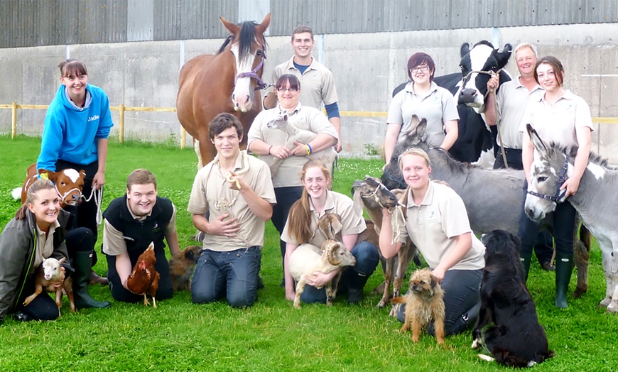 Image 1: Annual Pass to Greenlands Farm