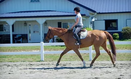 $49 for Two Horseback-Riding Lessons at Bridlewood Farm in Chesapeake ($100 Value) - Primary Image